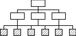 Организационная функциональная структура