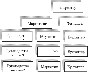Организационная матричная структура
