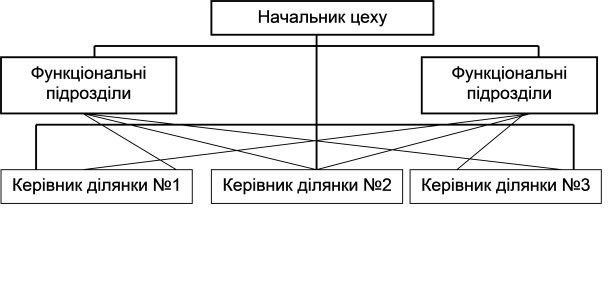 Функціональна структура  управління