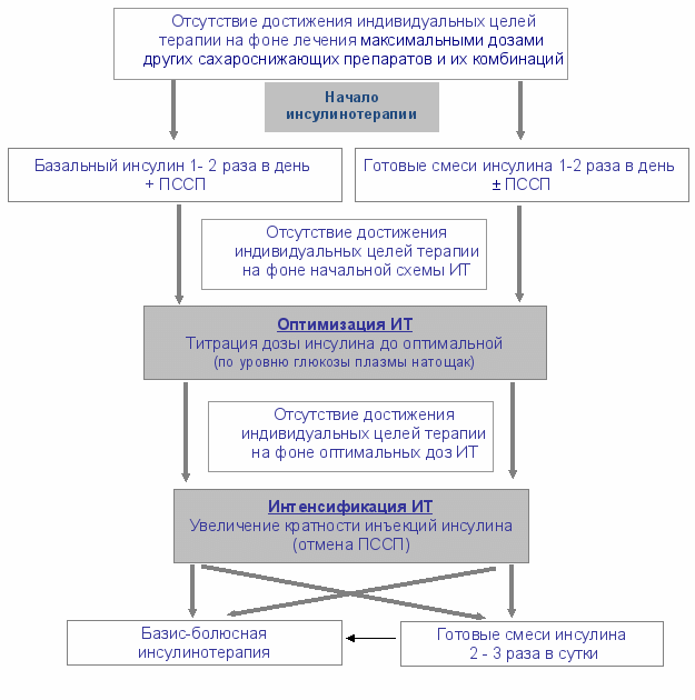 Базис болюсная схема