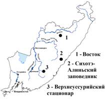 Сихотэ алинь на карте россии контурная карта