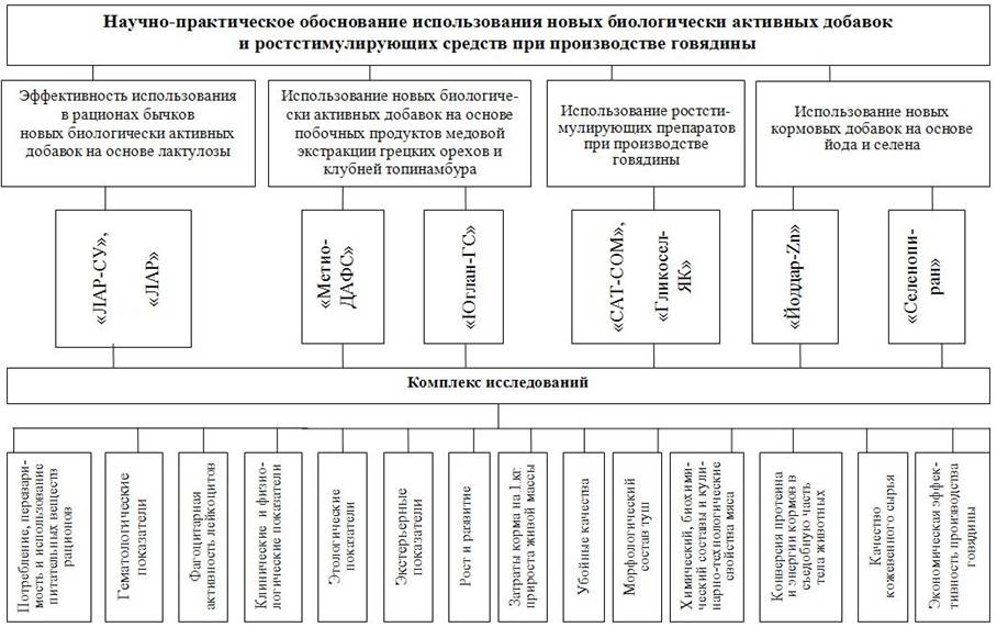 Практическое обоснование