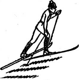 Ход елочка. Подъем полуелочкой на лыжах техника. Подъем в гору полуелочкой на лыжах. Подъем полуелочкой. Техника подъемов подуёлочка\.
