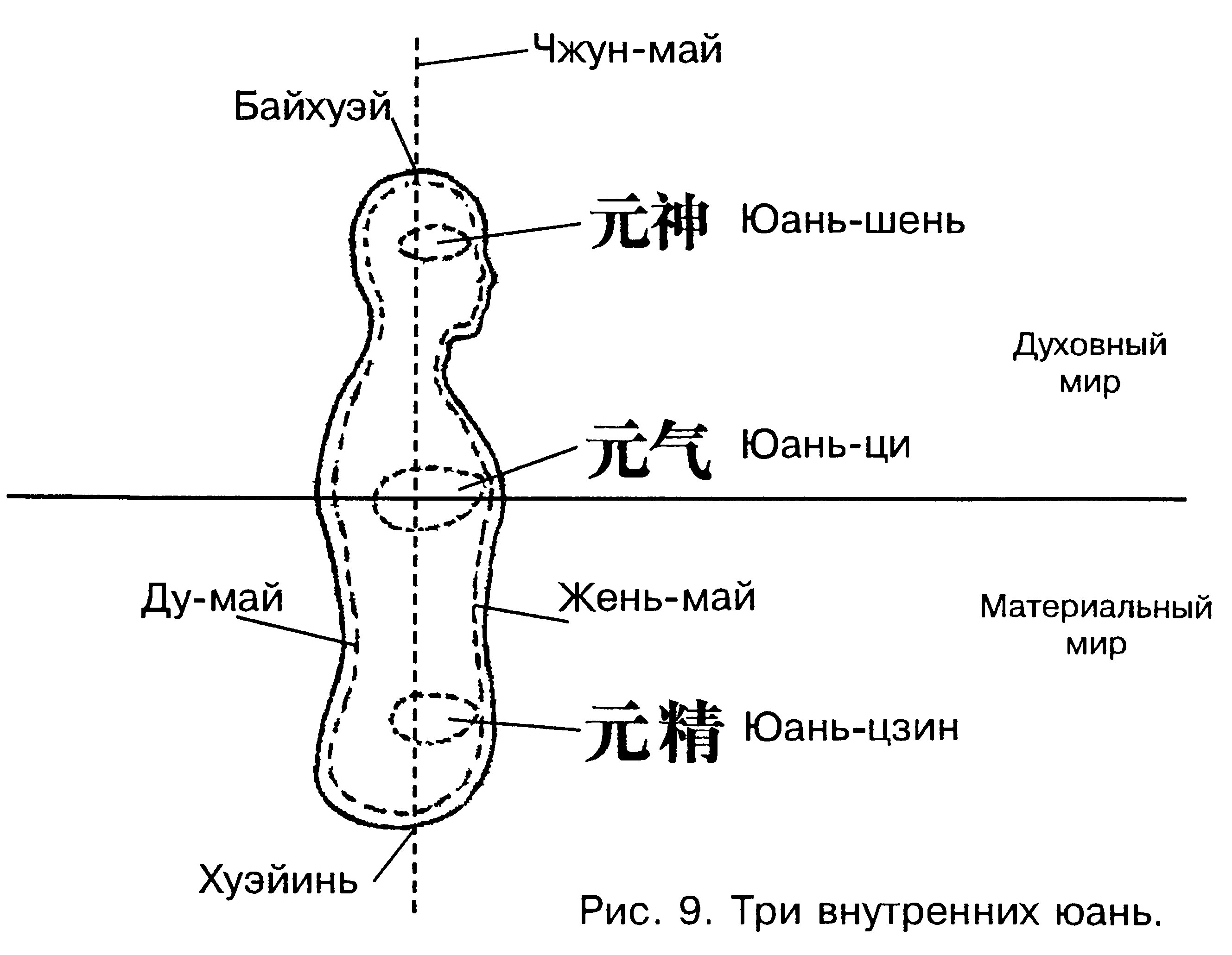 Книга точки ци