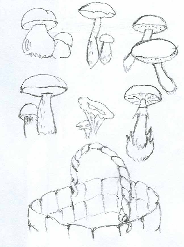 Грибы поэтапно. Рисование грибы. Грибы карандашом. Грибок рисунок карандашом. Гриб рисунок.