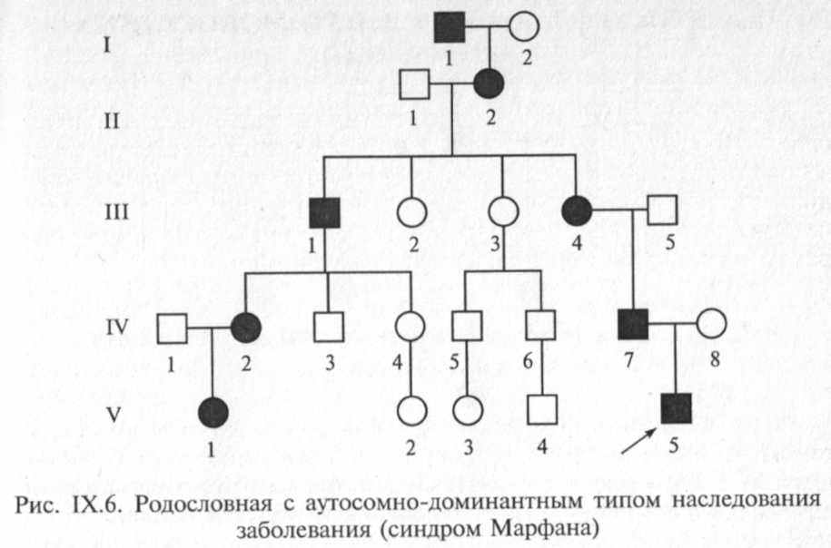 Генетика деревьев