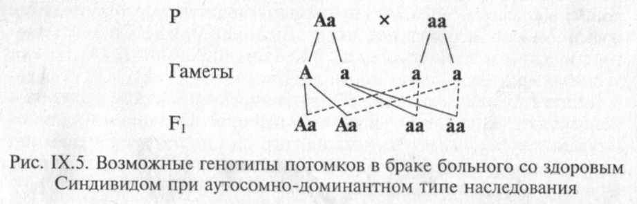 Доминантный ген а определяет развитие