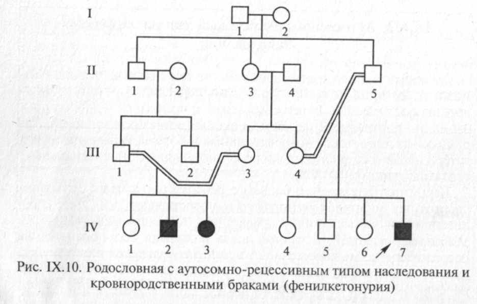 Родословный брак. Аутосомно-рецессивный Тип родословная. Родословная с аутосомно-рецессивным типом наследования. Аутосомно рецессивное наследование родословная. Схема наследования фенилкетонурии.