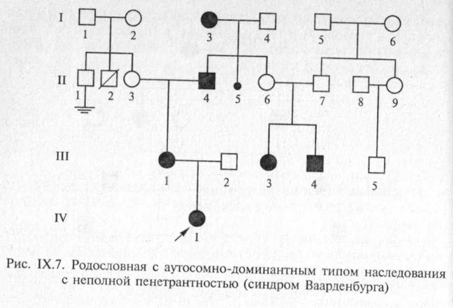 Типы родословных