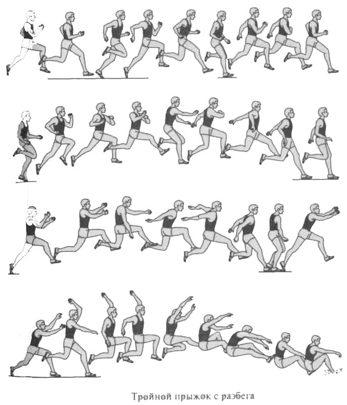 Фазы техники прыжка в длину с места