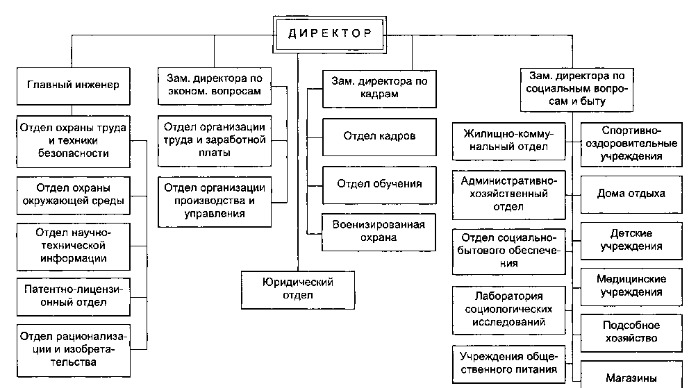 Зам по кадрам. Организационная структура крупного предприятия схема. Организационную структуру крупной организации.. Организационная структура управления крупным предприятием. Организационная структура крупной управляющей организации.