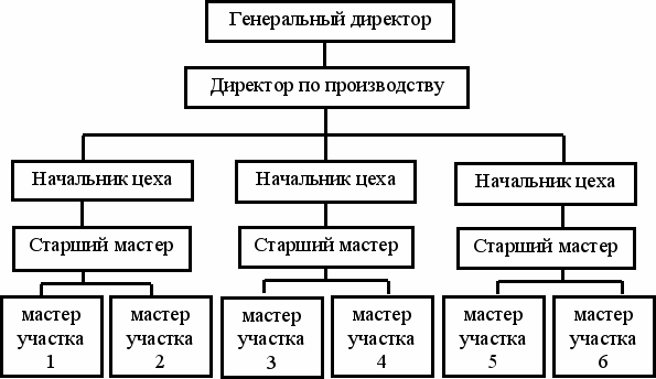 Примеры вертикальной структуры. Линейная организационная структура управления. Вертикальная и линейная структура управления. Вертикальная организационная структура. Горизонтальная организационная структура.
