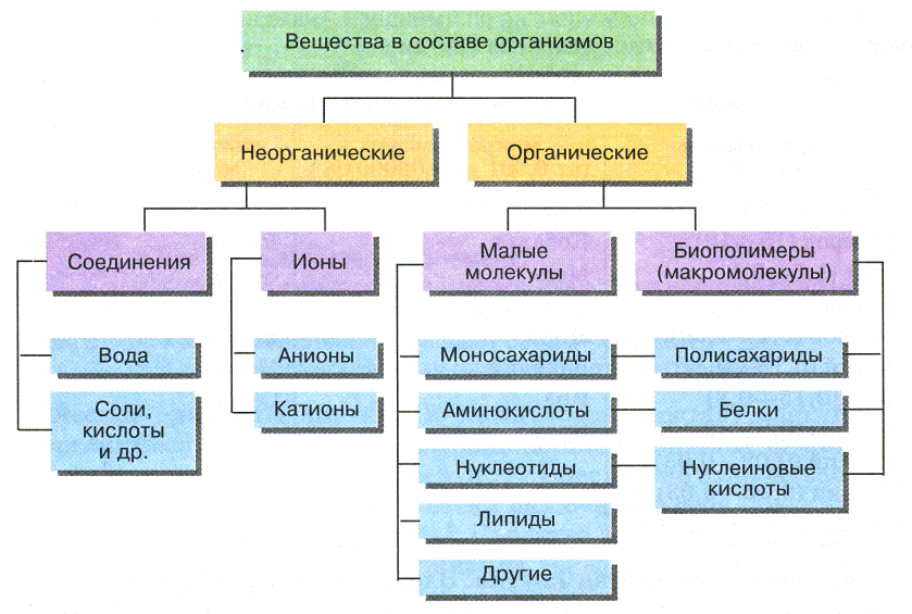 Схема неорганические вещества клетки. Органические соединения входящие в состав живых организмов. Какие органические соединения входят в состав клетки. Органические вещества входящие в состав живой клетки.