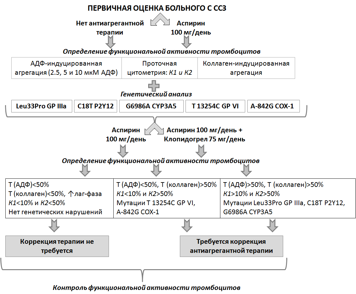 Оценка активности пациента. Схема агрегации тромбоцитов. Механизм агрегации тромбоцитов. Активация тромбоцитов механизм. Оценка функционального состояния пациента алгоритм.