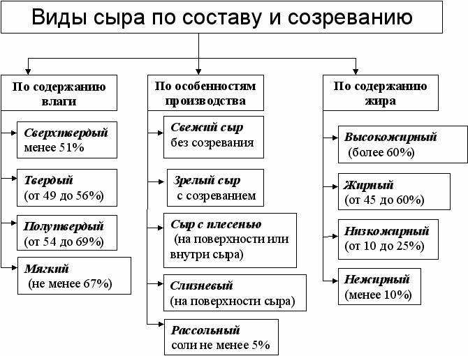 Классификация мягких сыров схема