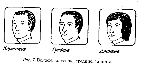 Правила описания внешности человека словесный портрет. Описание лица криминалистика. Словесный портрет волосы. Типы причесок в криминалистике. Схема составления словесного портрета.