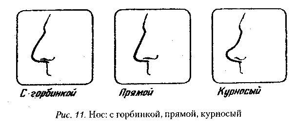 У тебя у курносой маршрут один