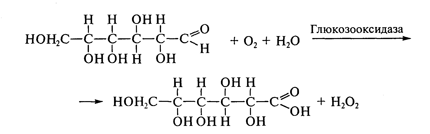 Глюкоза кислород. Глюкозооксидаза класс фермента. Реакция окисления Глюкозы глюкозооксидазой. Глюкозооксидаза формула. Глюкозооксидаза структурная формула.