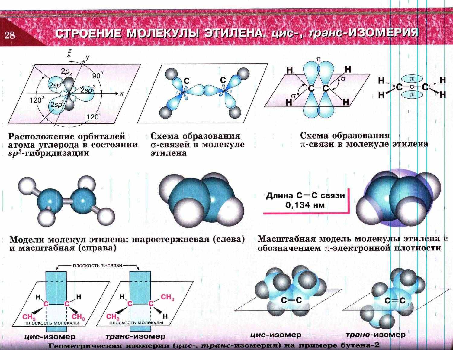 Sp2 гибридизация этилен. Пространственная форма молекулы этилена. Пространственное строение молекулы этилена. Пространственная структура этилена. Строение молекул алкенов рисунок.