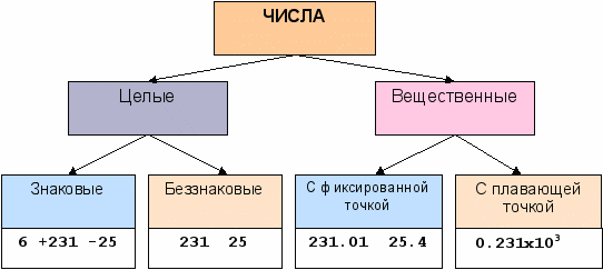 Типы цифр. Целое число и вещественное число. Целые и вещественные числа в информатике. Вещественное число в информатике. Вещественные числа пример.