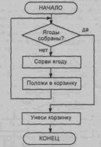 Однажды бабушка попросила машу помочь собрать ягоды крыжовника блок схема