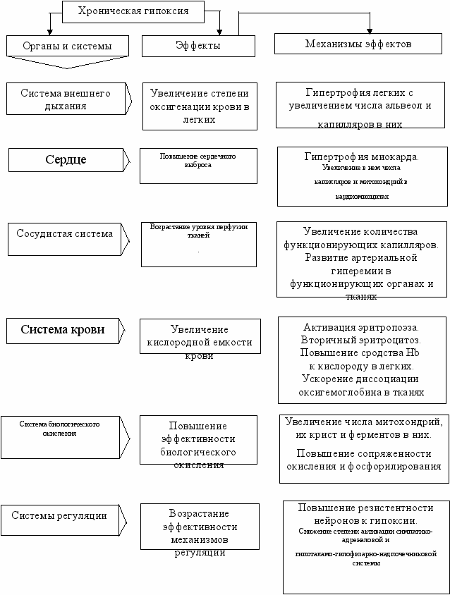 Схема развитие срочных компенсаторно приспособительных реакций при остро развивающейся гипоксии