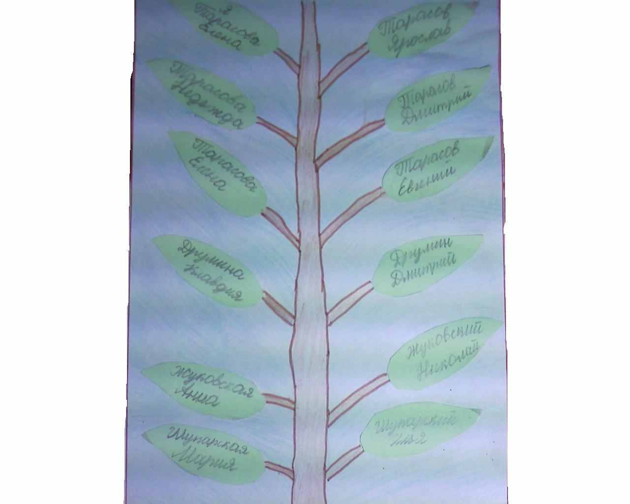 Нарисовать древо семьи 2 класс. Родословное дерево 2 класс. Родословная дерево 2 класс. Родословное дерево карандашом. Задание по окружающему миру генеалогическое дерево.
