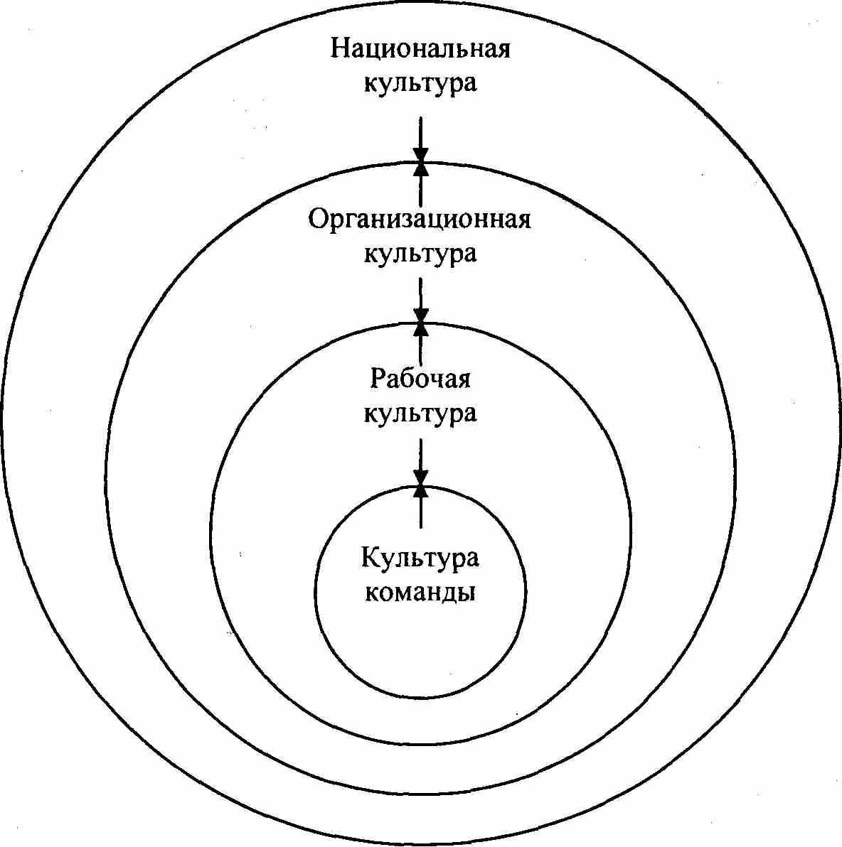 Модели культур. Модель Шейна организационная культура. Адхократическая организационная культура. Организационная культура схема. Структура организационной культуры.