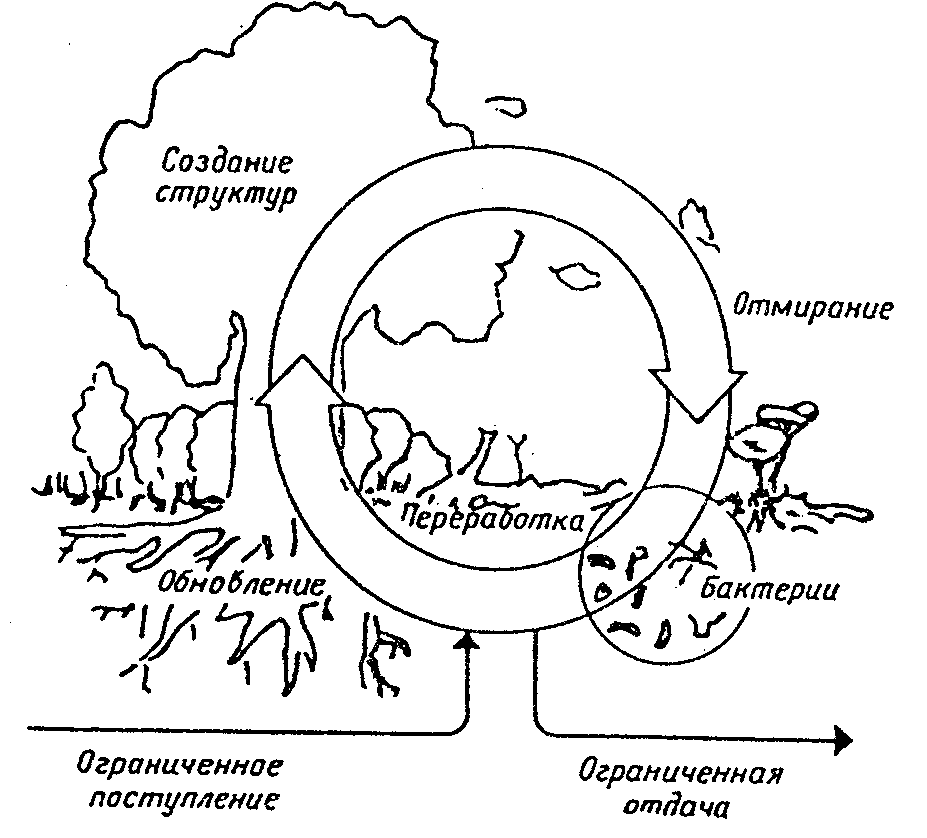 Круговорот веществ рисунок. Круговорот. Круговорот веществ в естественной экосистеме. Круговорот веществ в природе раскраска. Круговорот питательных веществ.