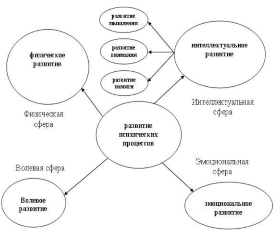 Выдвигает на первый план воспитание ума интеллекта развитие познавательной сферы