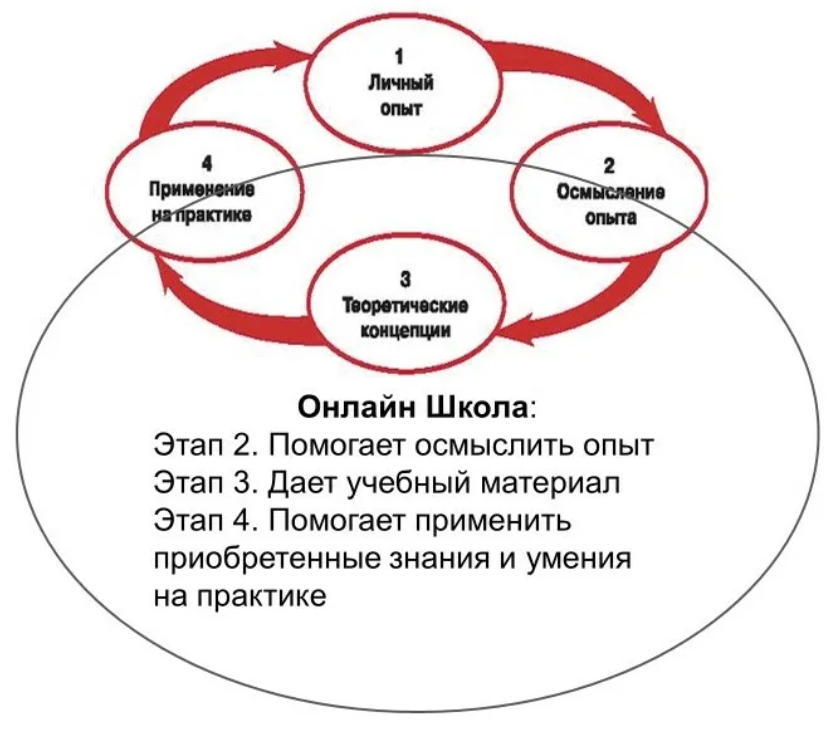 Суть и этапы обучения. Дэвид колб цикл обучения. Стадии цикла колба. Модель Дэвида колба. Метод Дэвида колба.